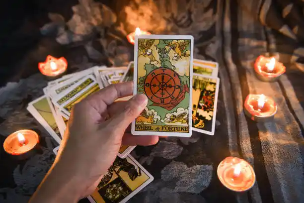 tarot cards Pelham Manor